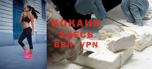стафф Корсаков