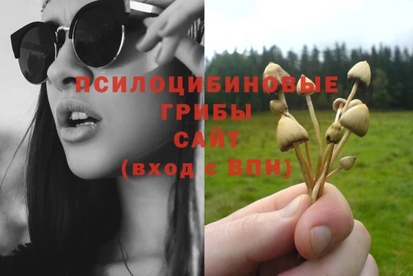 стафф Корсаков