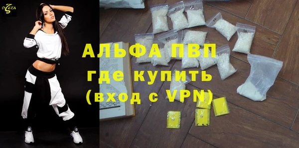 стафф Корсаков