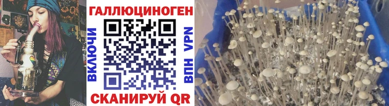 Псилоцибиновые грибы прущие грибы  наркотики  площадка телеграм  Серпухов 