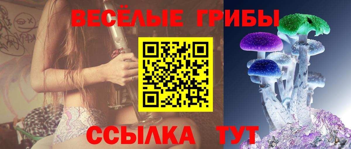 Псилоцибиновые грибы Psilocybe  магазин  наркотиков  Вход с VPN  Серпухов  Псилоцибиновые грибы Magic Shrooms 